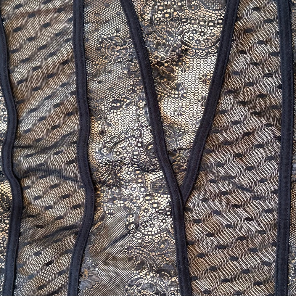 bebe Black Sheer Lace Plunge Mini Dress - Picture 6 of 10